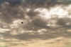 Rafale-demo_01.jpg (128284 octets)