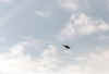 Tornado_demo04.jpg (41478 octets)