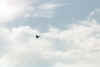 Tornado_demo05.jpg (42952 octets)